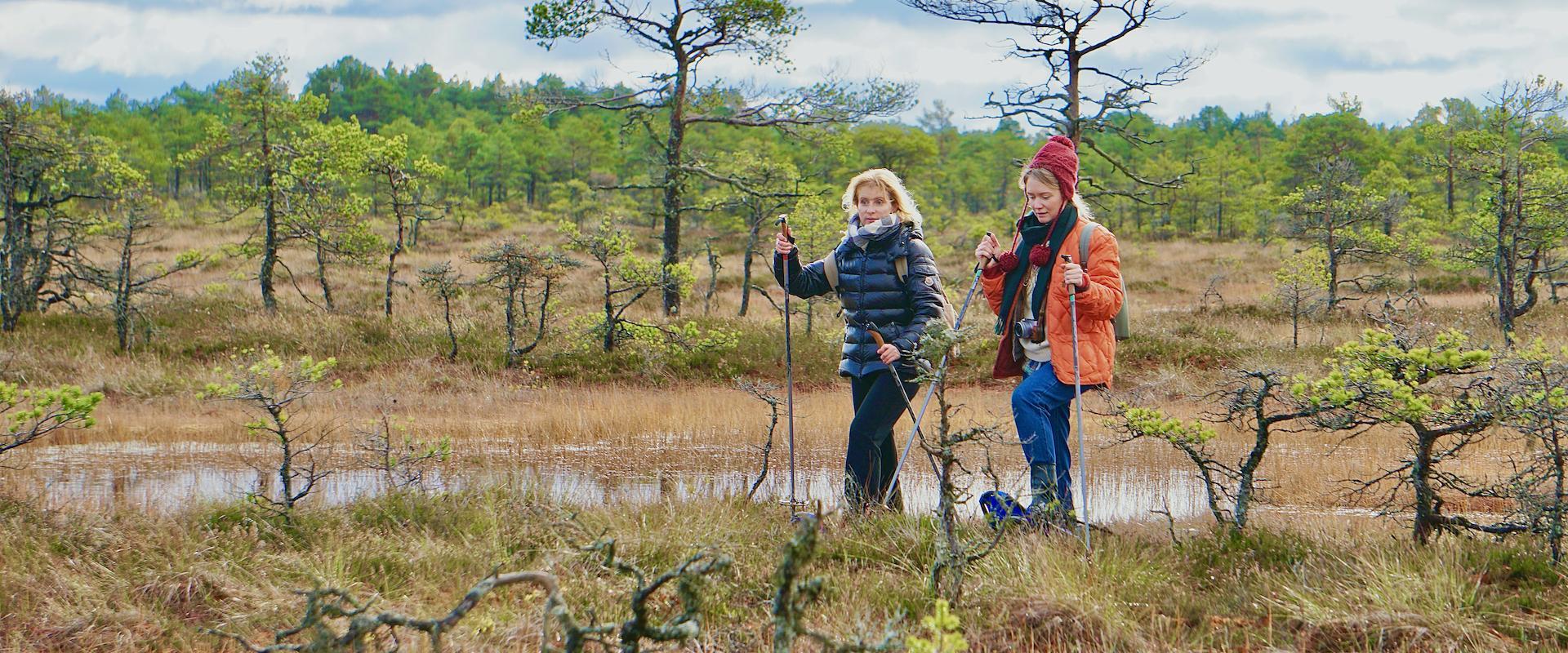 Räätsamatk Kõnnu Suursoos