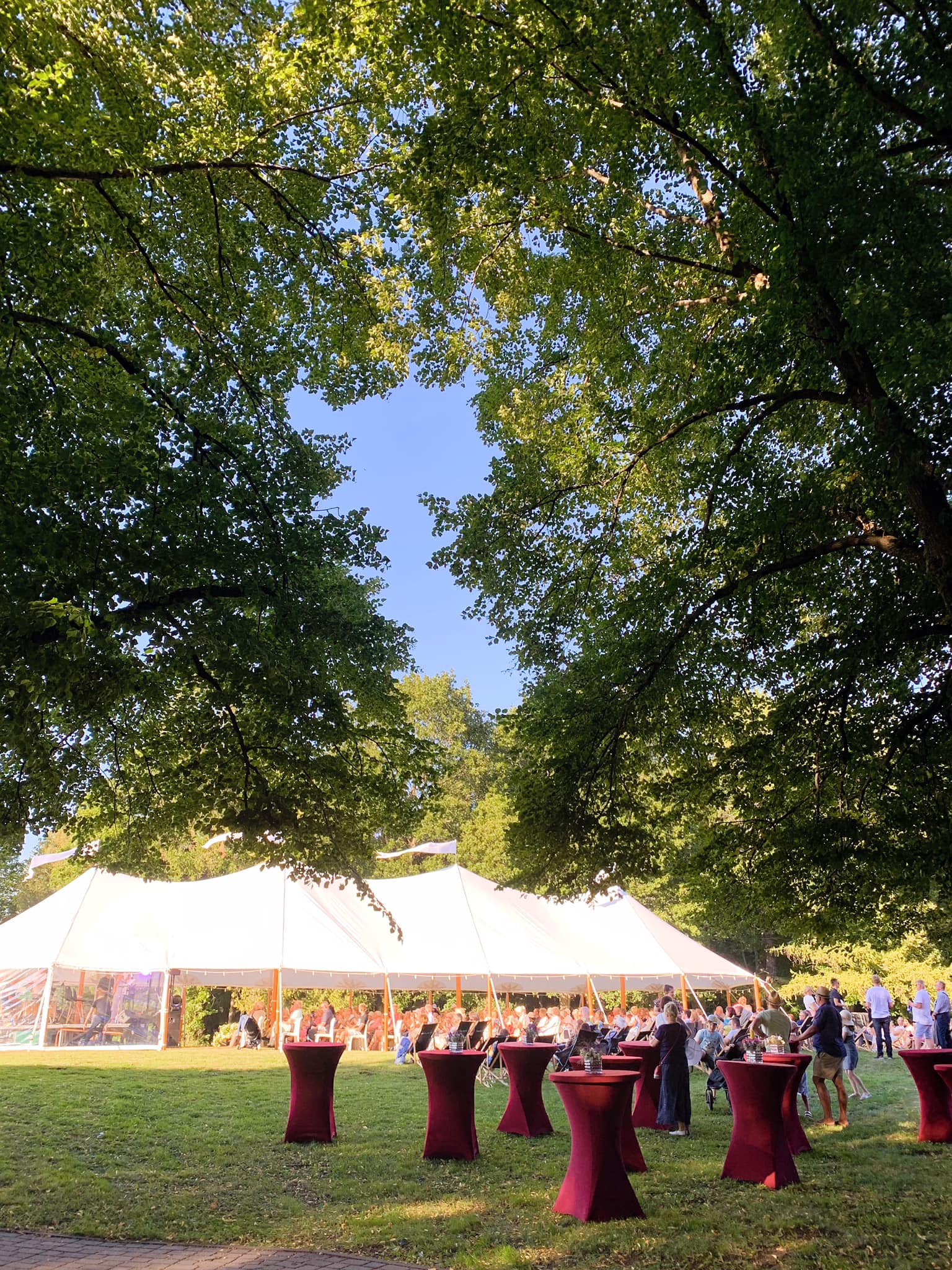Voka tiigifestival