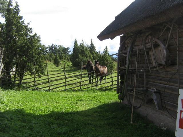 Ferienhaus des Bauernhofs Nina