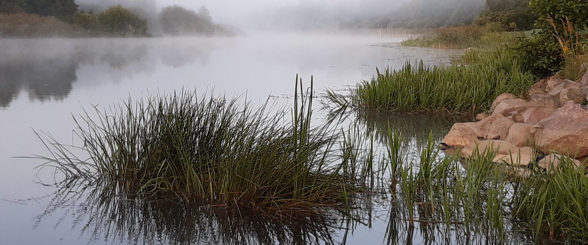 Humala Kalabaas - private and comfortable fishing spot with accommodation on the bank of the Emajõgi River