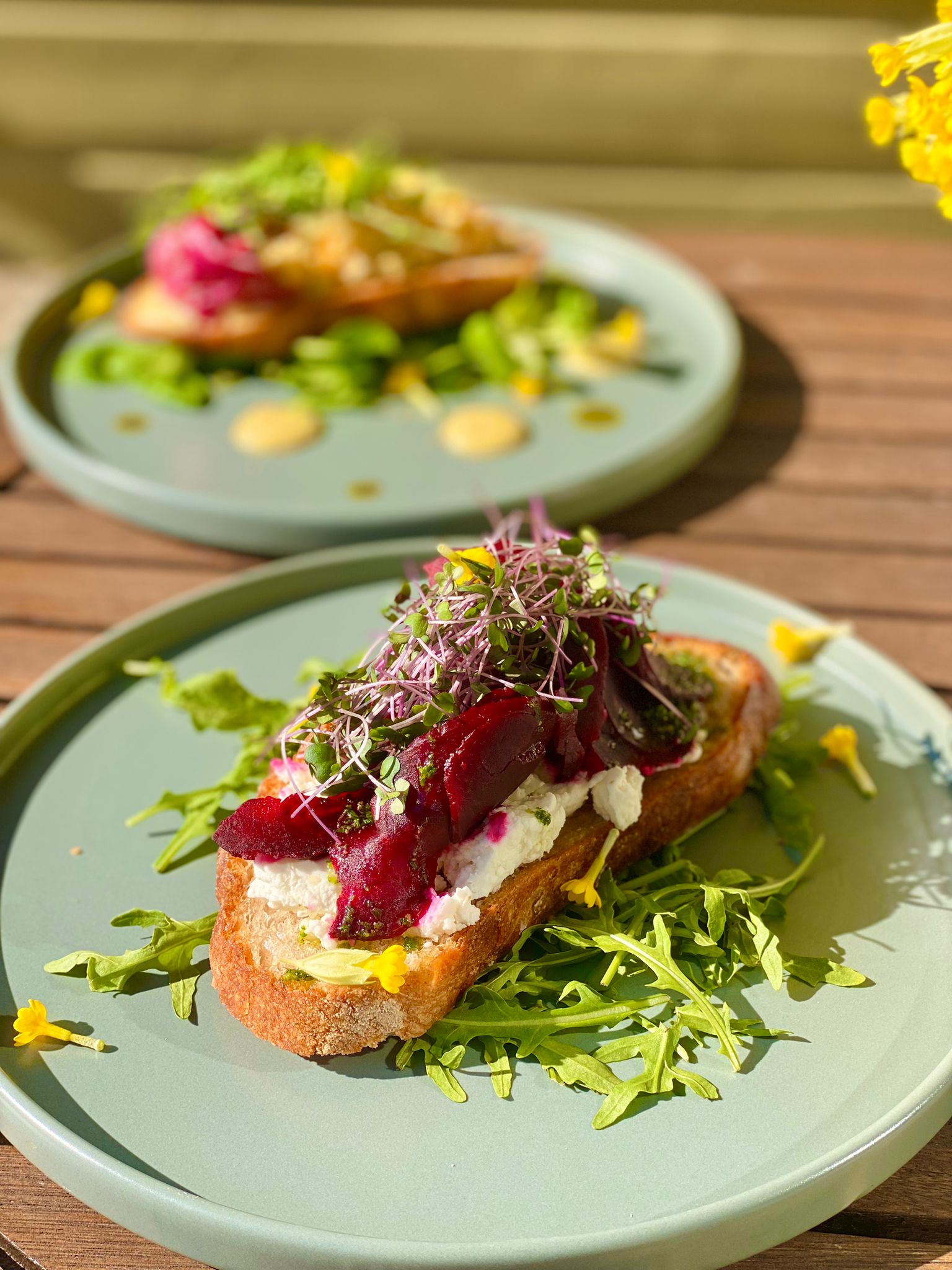 Sourdough bread, beet and goat cheese salad, local food