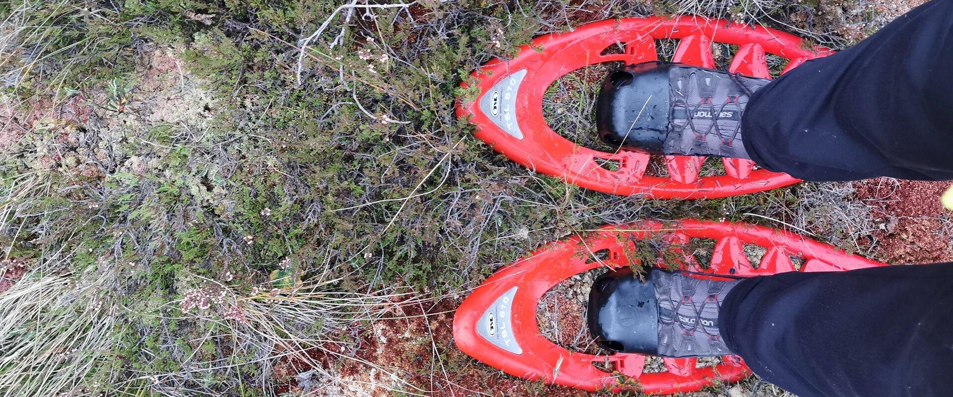 Das Moor Lindi liegt auf einem 1100 ha großen Naturschutzgebiet Lindi. Da es auf der Moorlandschaft Lindi keinen Bretterweg gibt, ermöglichen die Moor