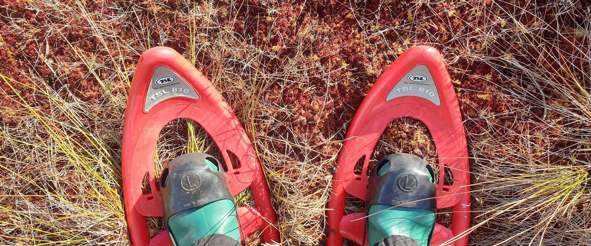 Everyone who heads out on one of these hikes in Soomaa National Park is given a pair of bog shoes and will be led by a local guide, who will provide i