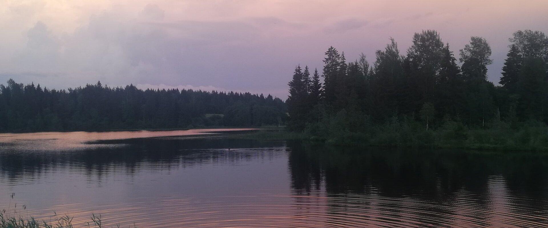 Pojengiaia saunast saad joosta Vaskna järve