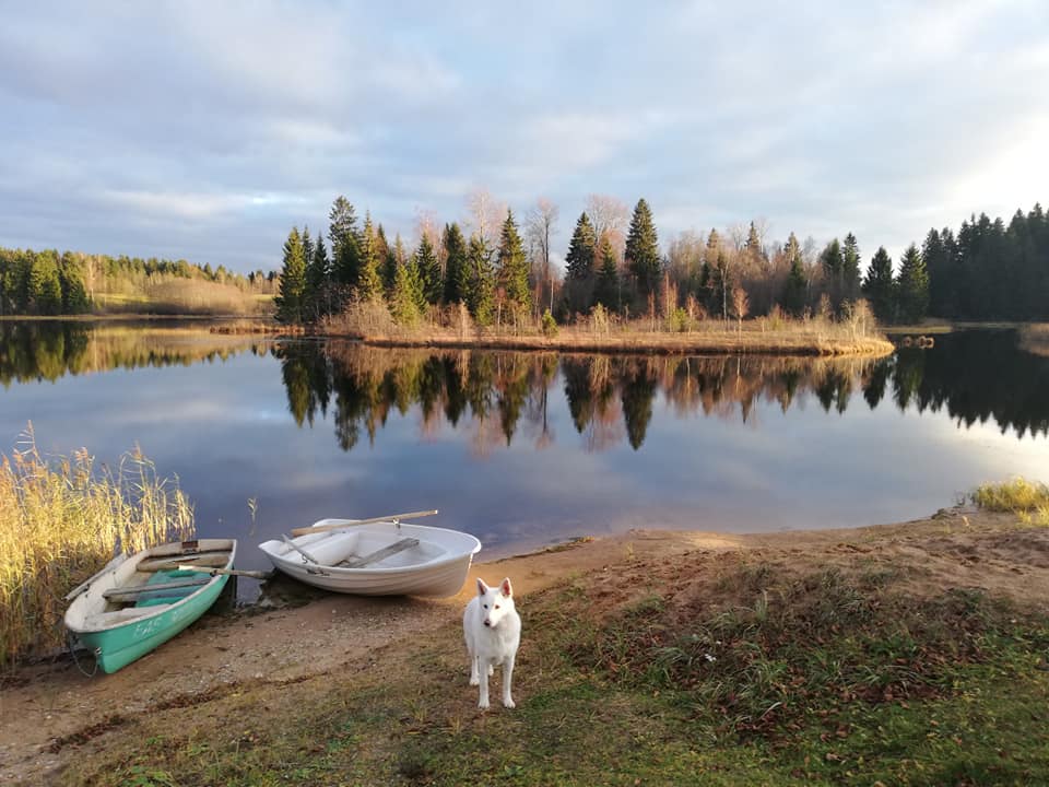 Pojengiaia saunast on mõnus minna ujuma Vaskna järve