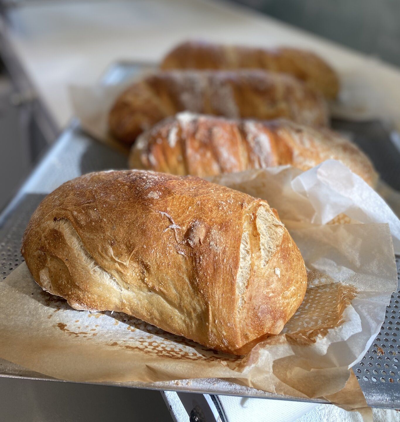 Ciabatta vahemereürtide ja väikse rukkijahuga