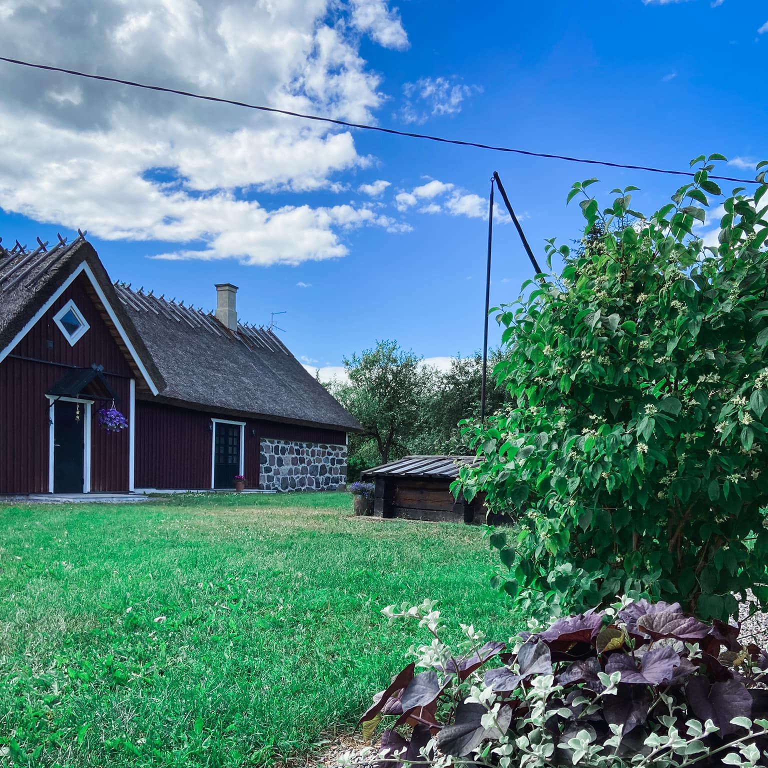 Tänava talu külastus ja degustatsioon