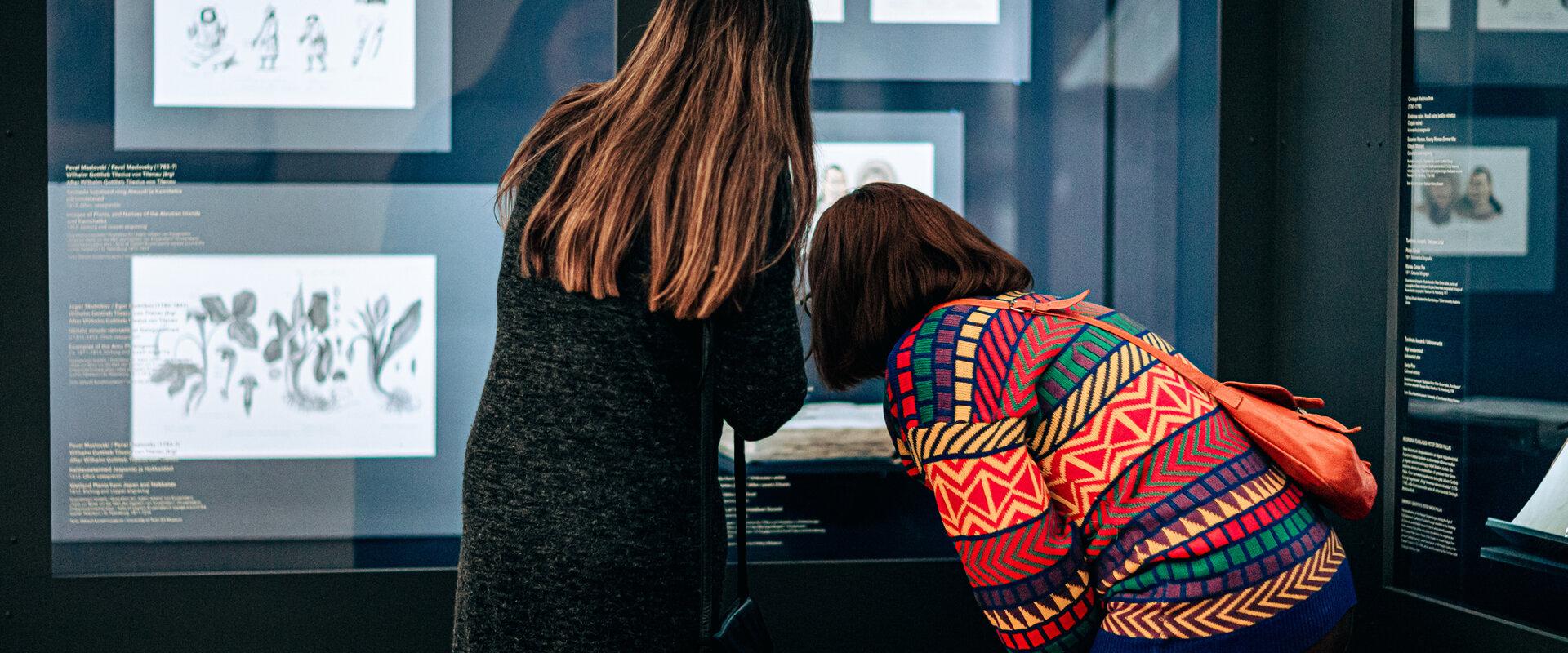 Kunstisari seenioritele "Jagatud kogemused"