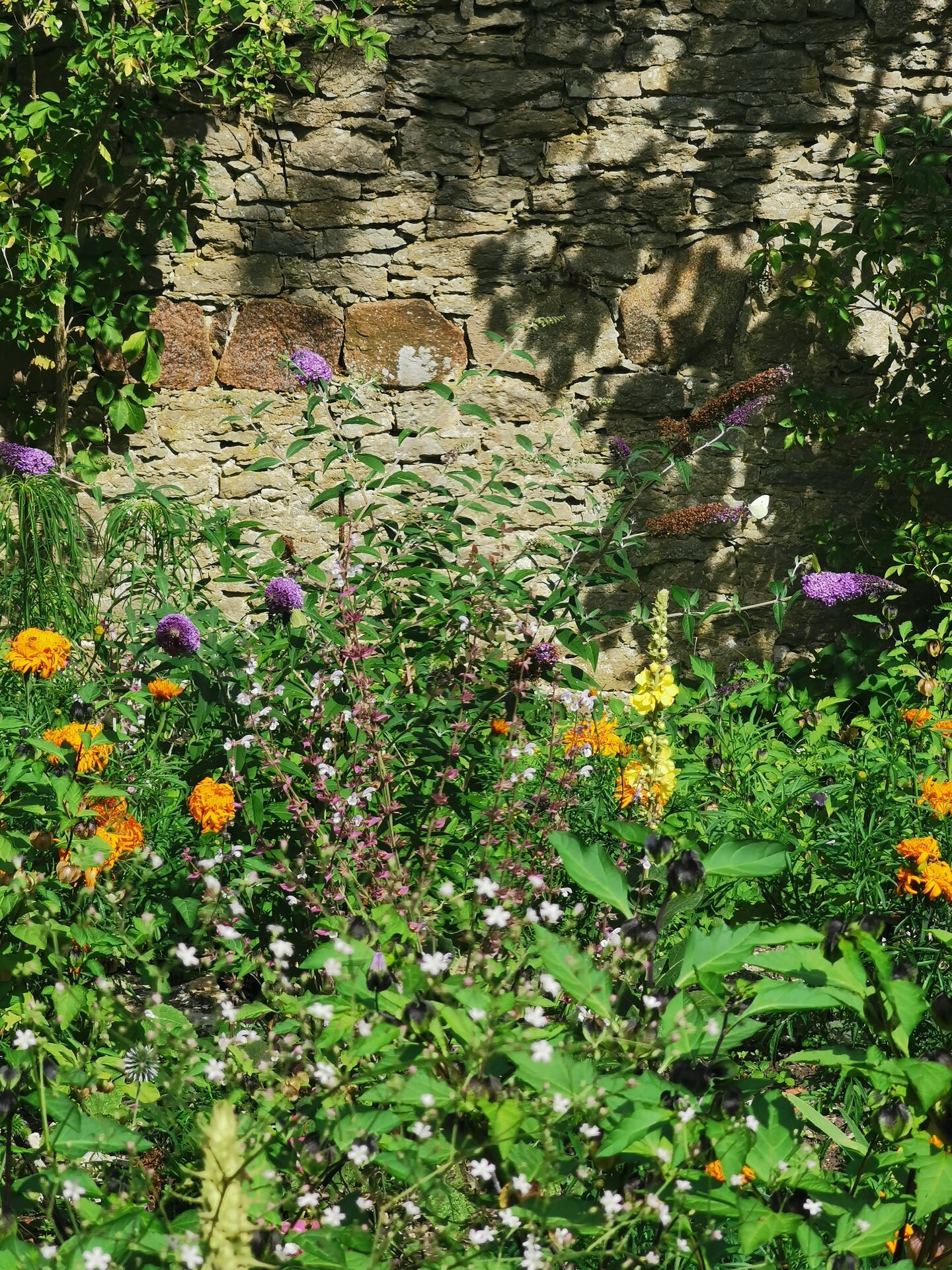 Cherry Garden of Suuremõisa Castle
