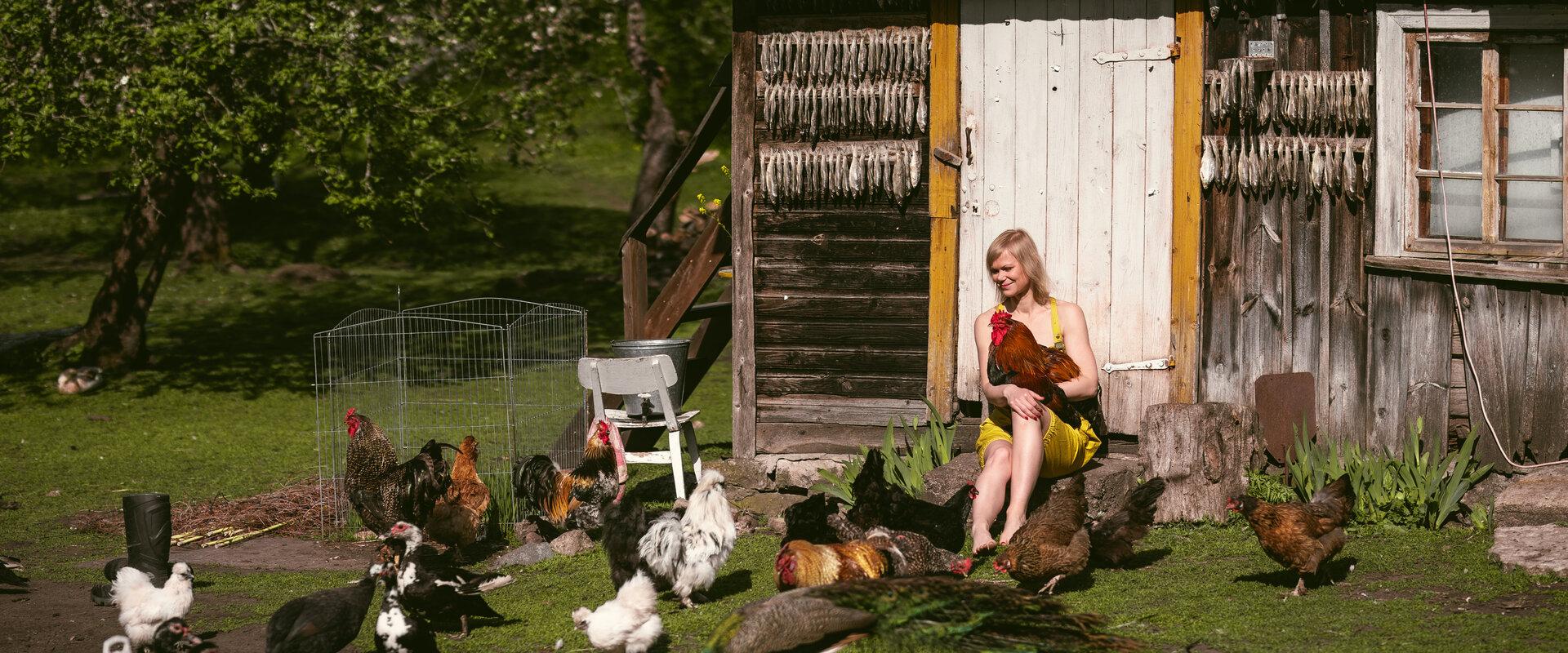Elamuspuhkus Heidi pere ja loomadega Pajuväraval