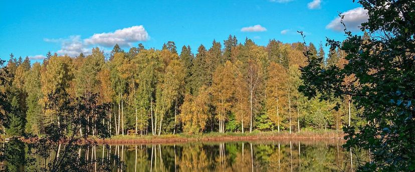 Neeruti landscape protection area hiking trail