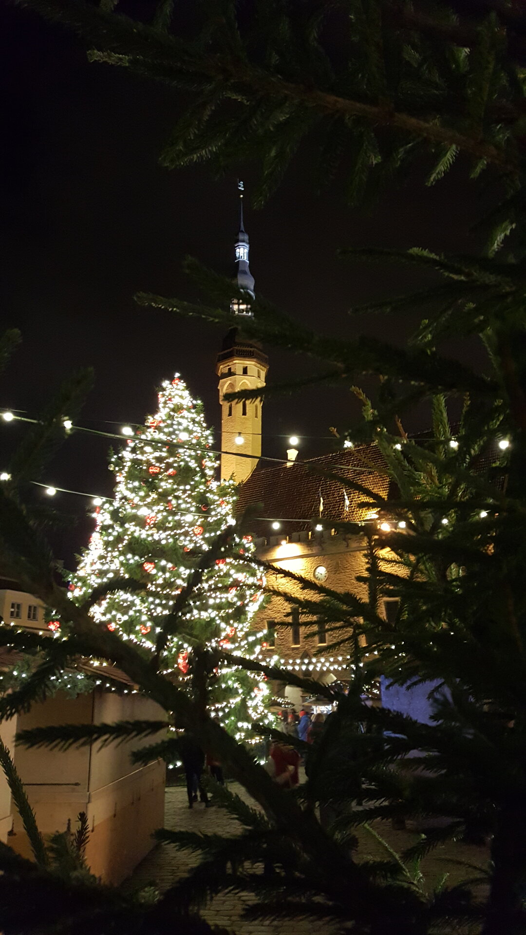 Jalgsi jõulutuur Tallinna vanalinnas