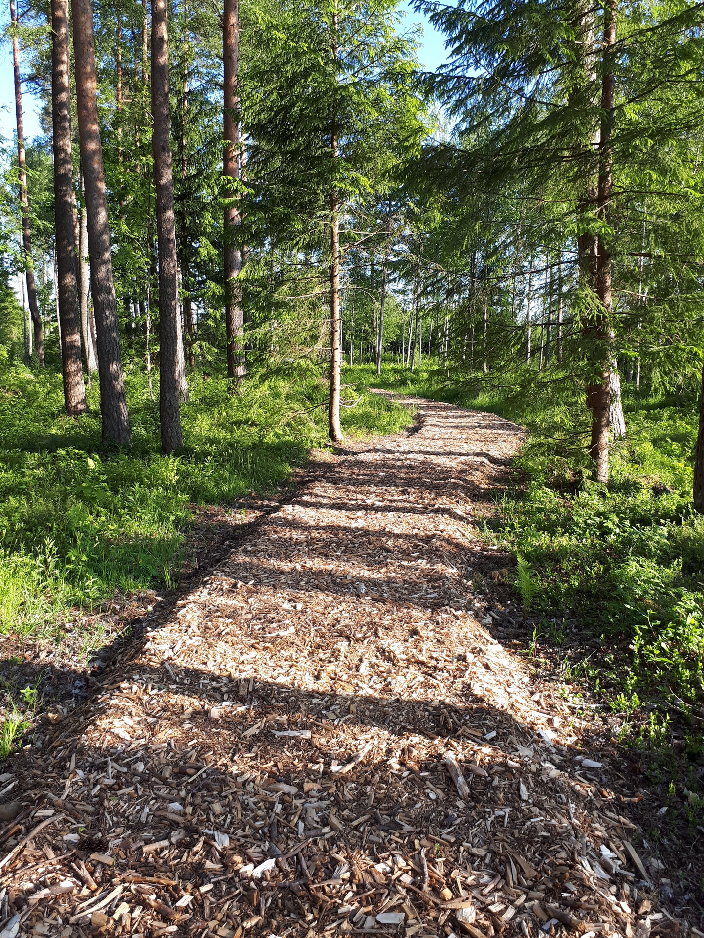 Rännak Levi küla vanimatel talumaadel - Levikivi matk