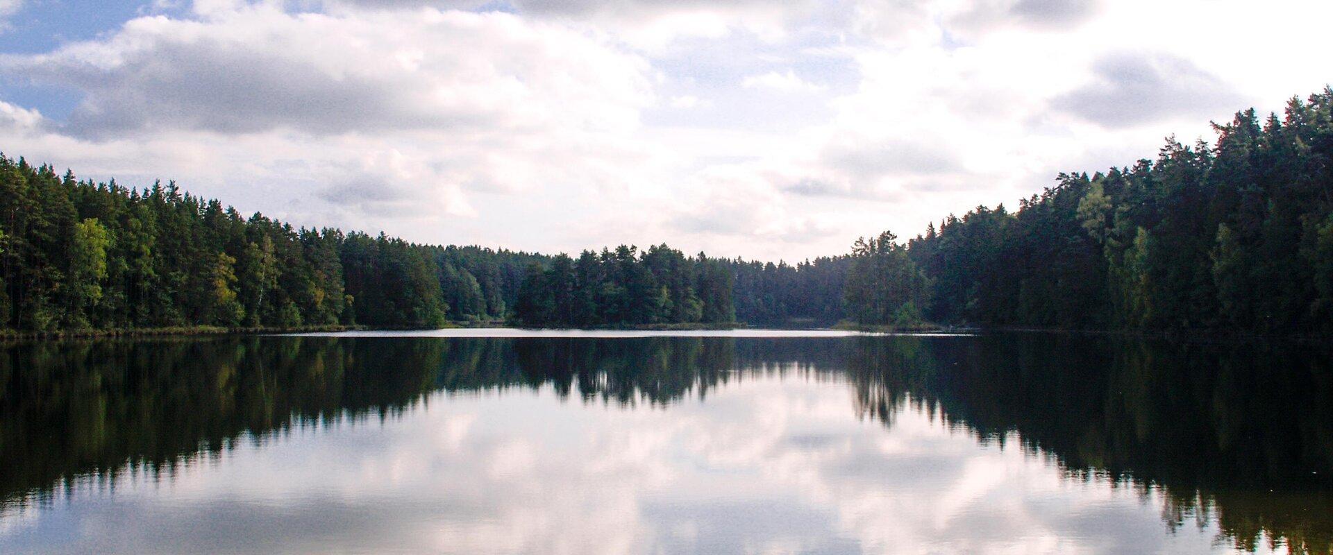 Der Naturlehrpfad von Viitna