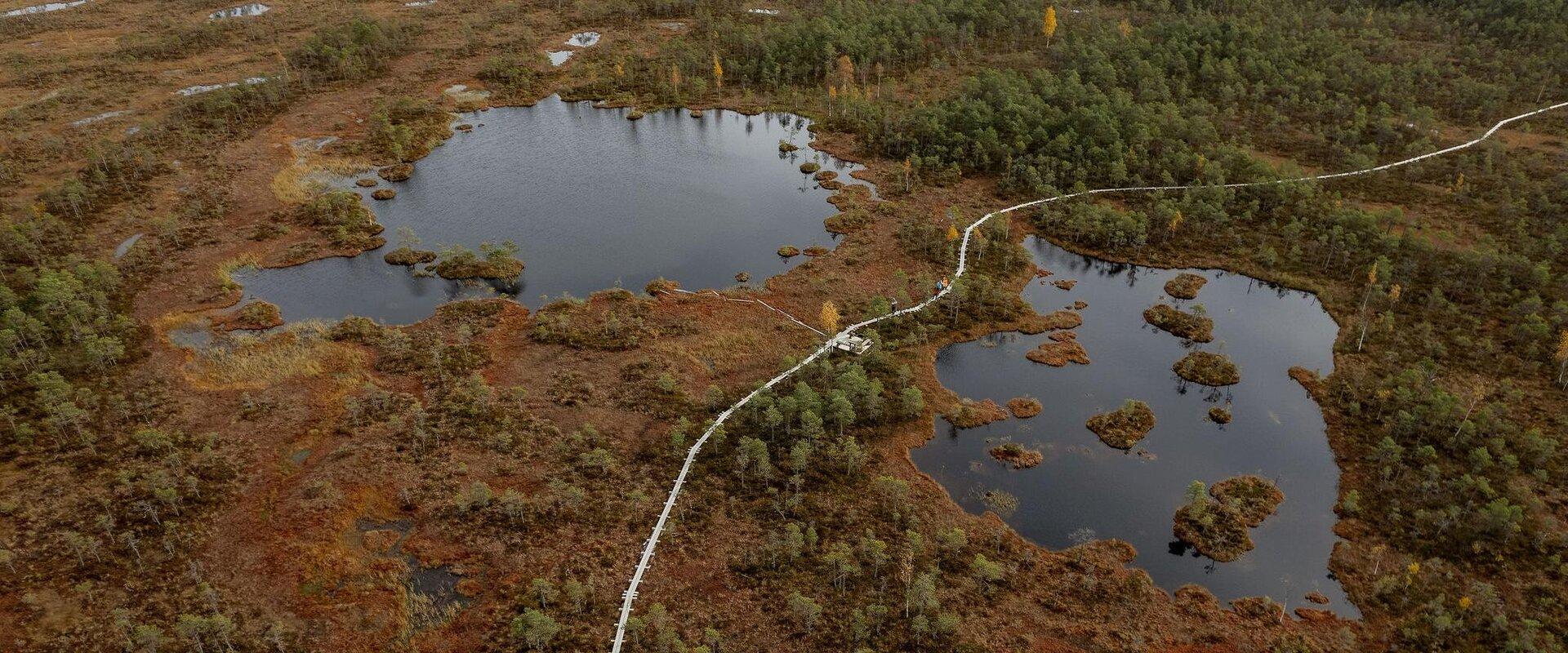 Alutaguse Matkaklubi räätsamatk Selisoo rabas