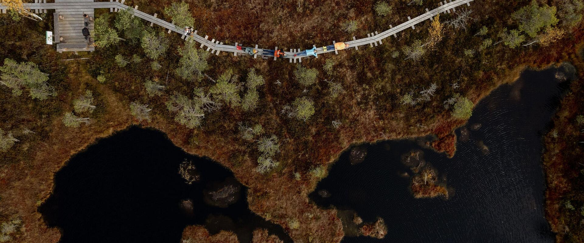 Alutaguse Matkaklubi räätsamatk Selisoo rabas