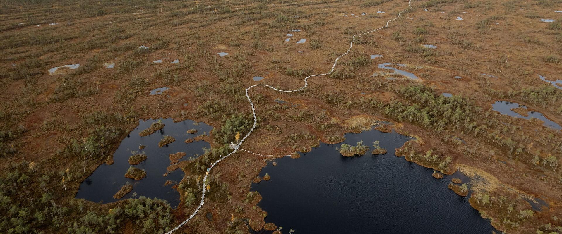 Alutaguse Matkaklubi räätsamatk Selisoo rabas