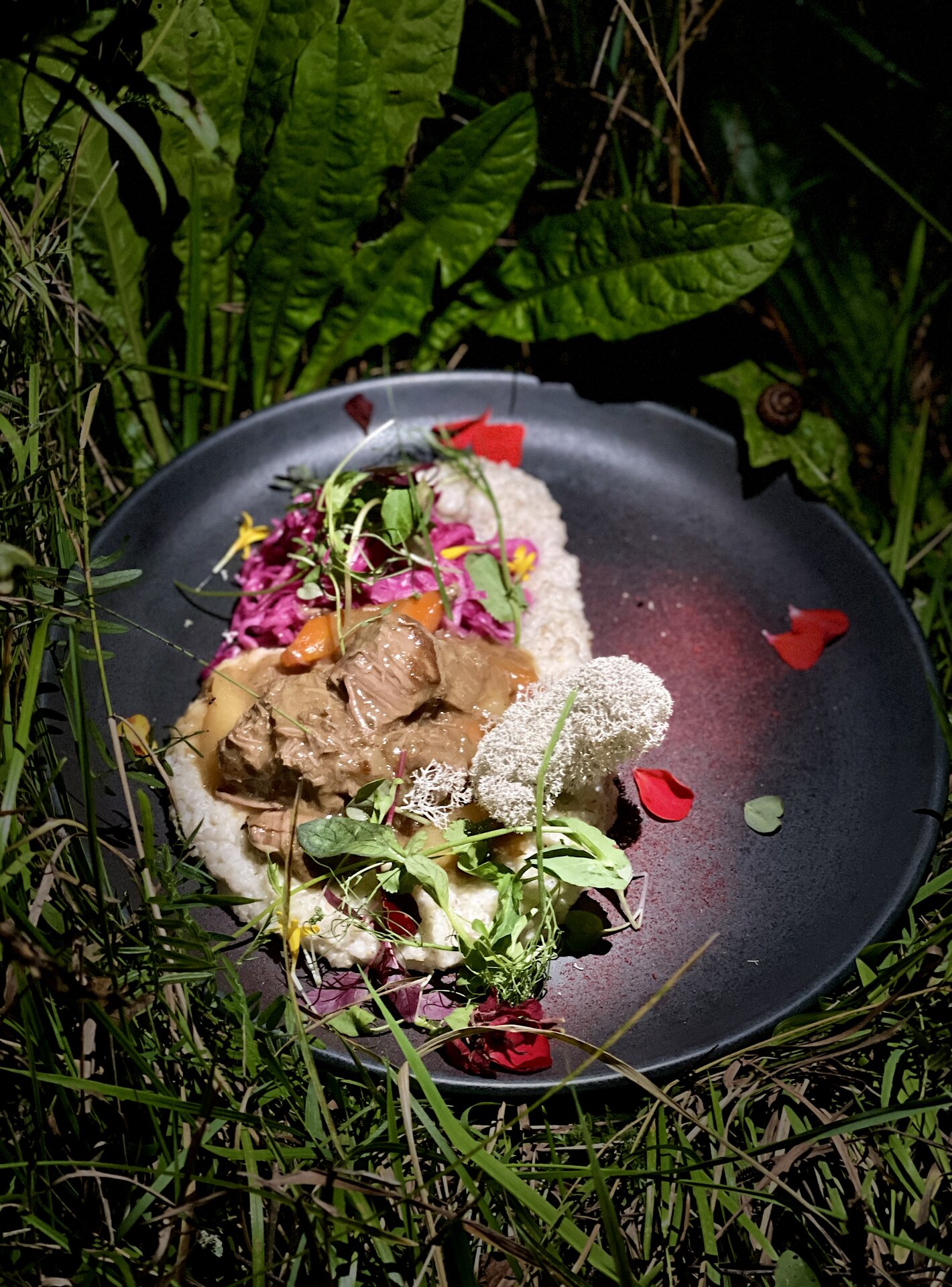 "From Forest to Table" — the Flavors of South Estonia