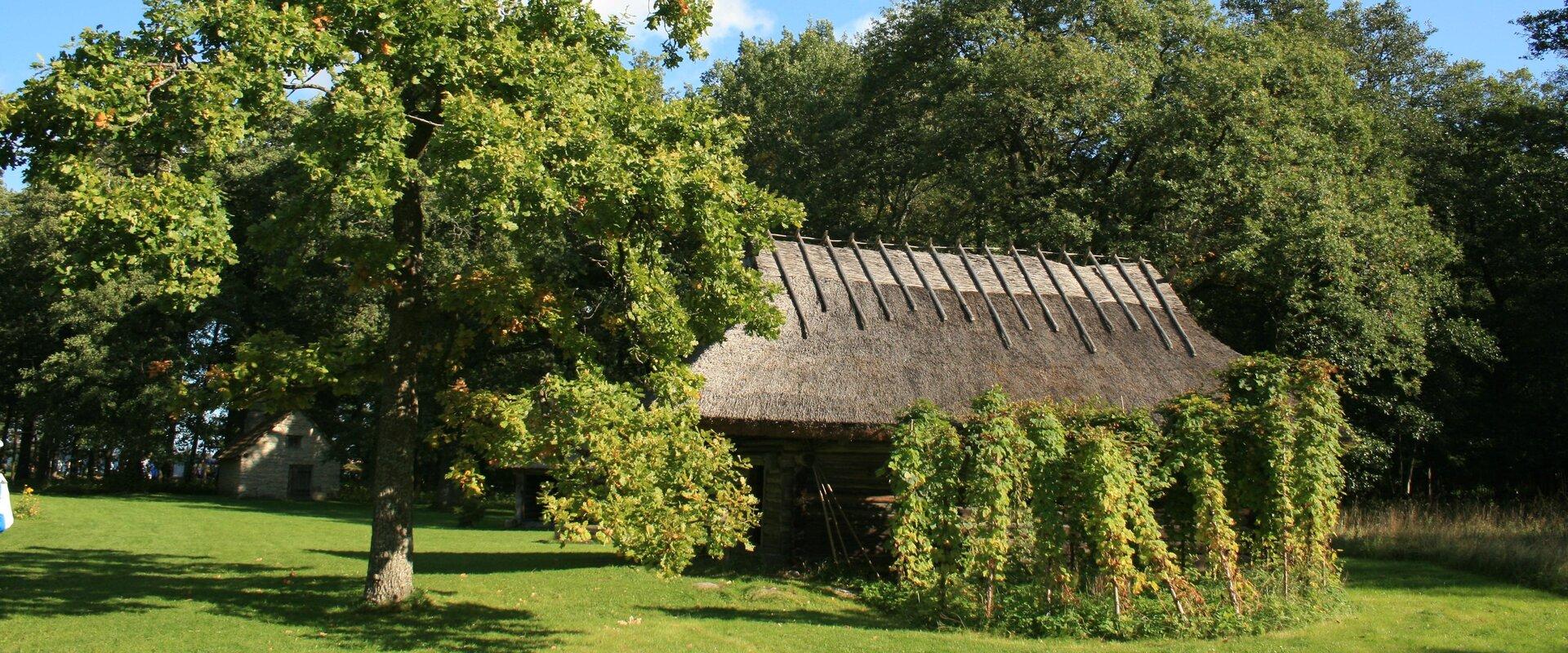 Private 5-hour Estonian Culture Tour Along With Open Air Museum Visit