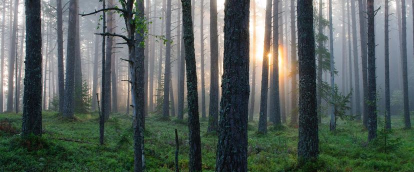Seljamäe õppematkarada