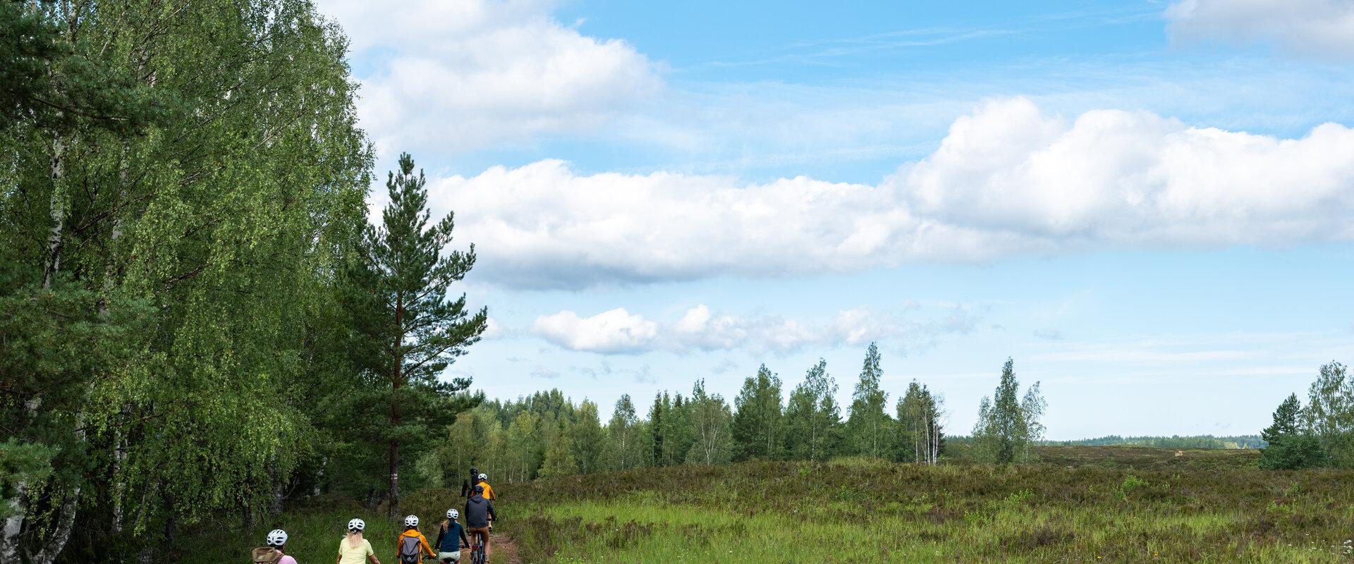 Estonian Wildnest Resorts: Estonian Wilderness Experience