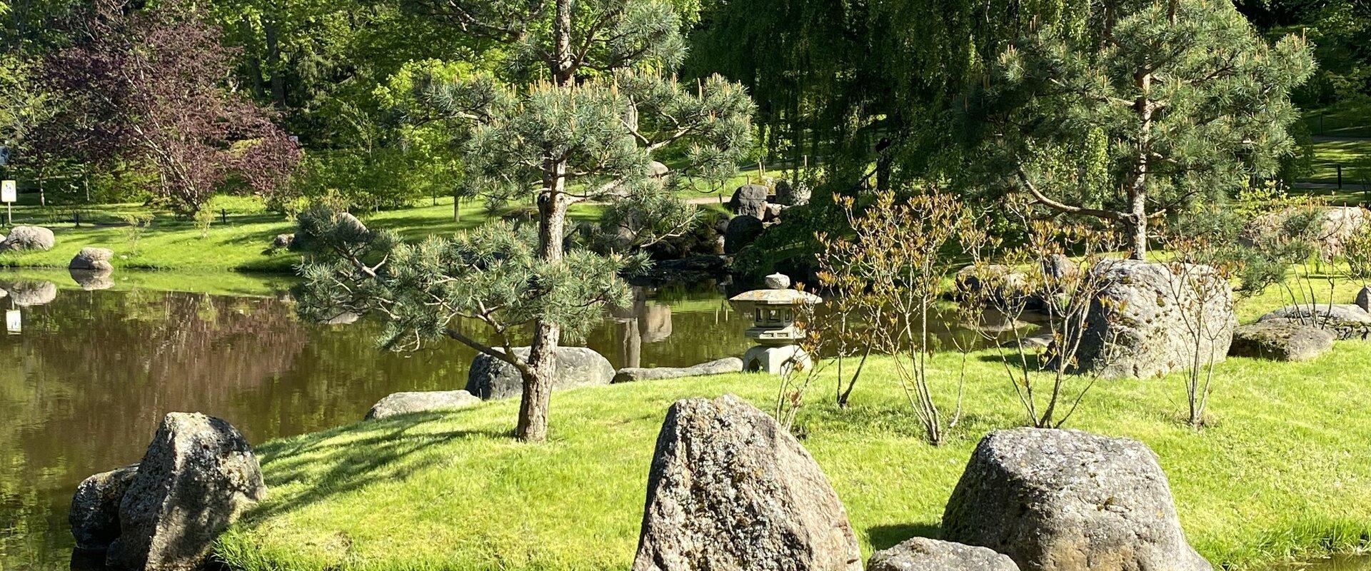Kadrioru pargi Jaapani aed