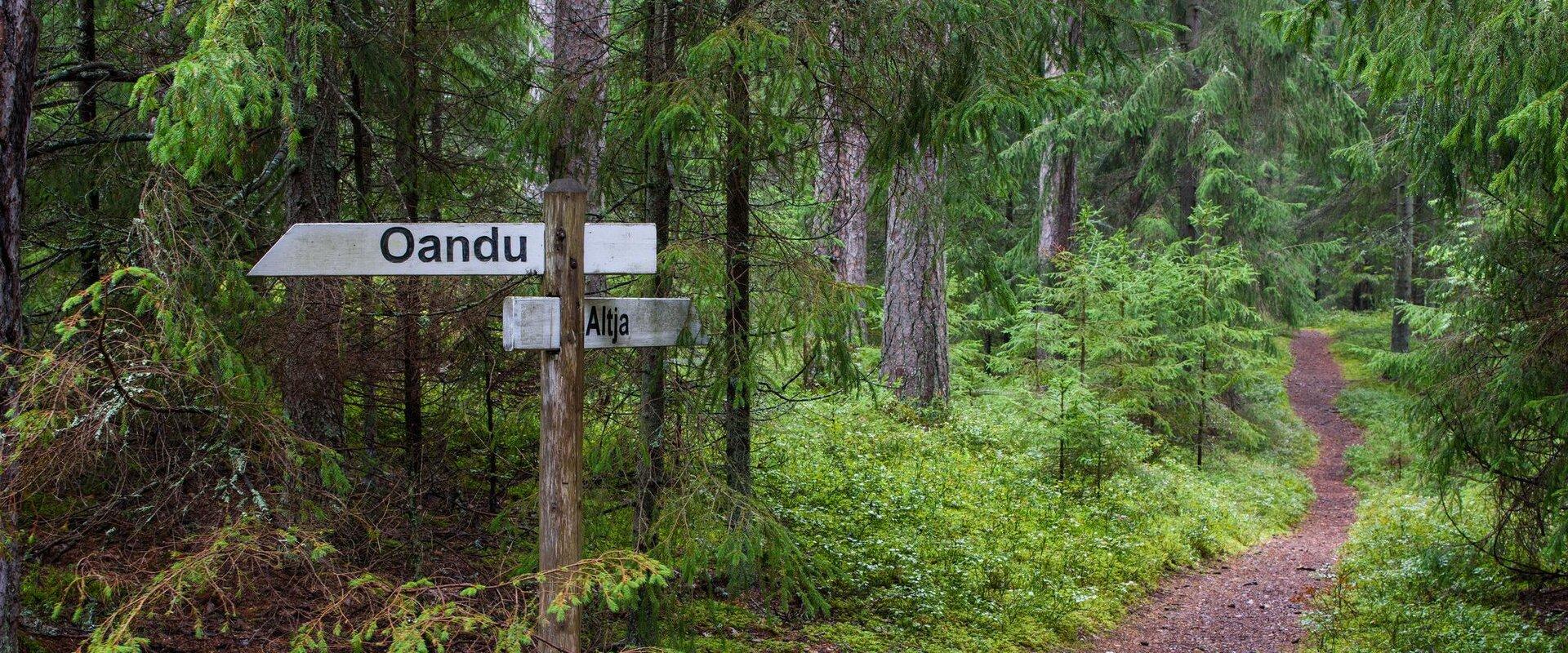 The Oandu-Võsu hiking trail is situated in Lahemaa National Park and is 9.5 km long. It begins at the Oandu camping area and continues through to the 