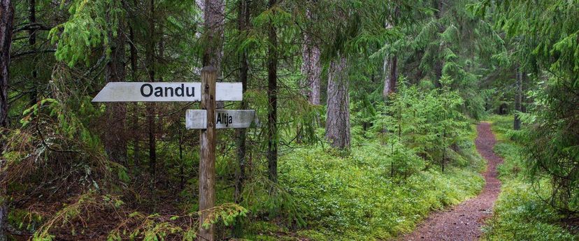 Oandu-Võsu matkarada