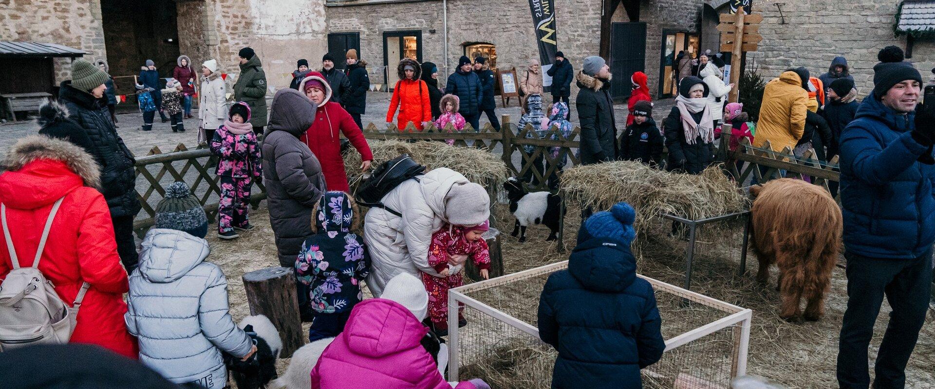 Mini-leht, mini-kitsed ja küülikud mini-loomaias Jõulukülas Narvas