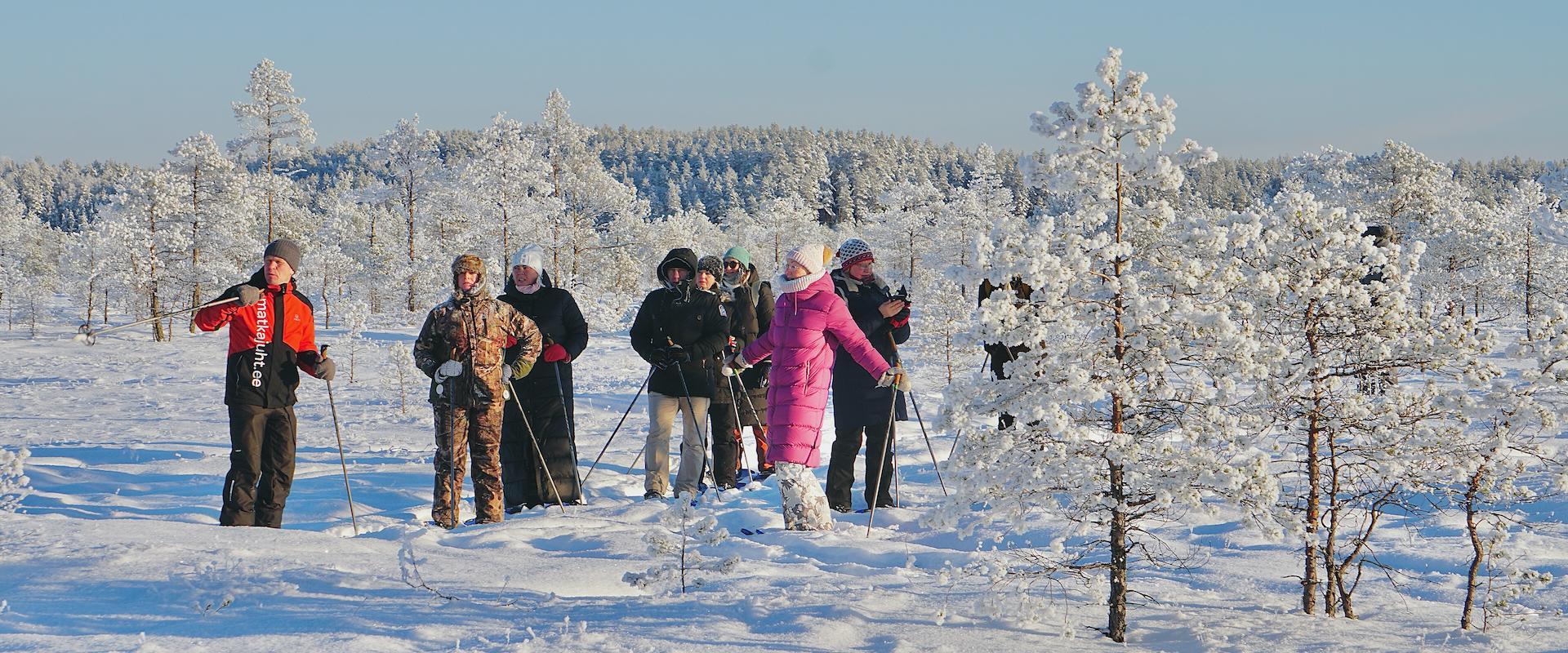 Räätsamatk Kõnnu Suursoos