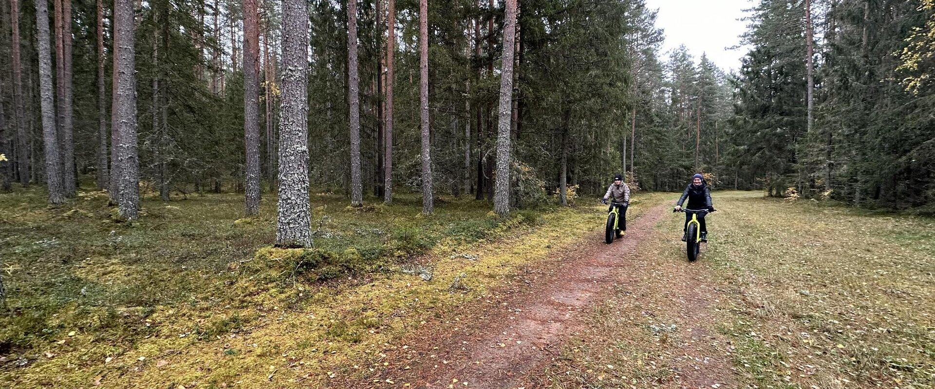 Fatbike matkad Lõuna-Eestis