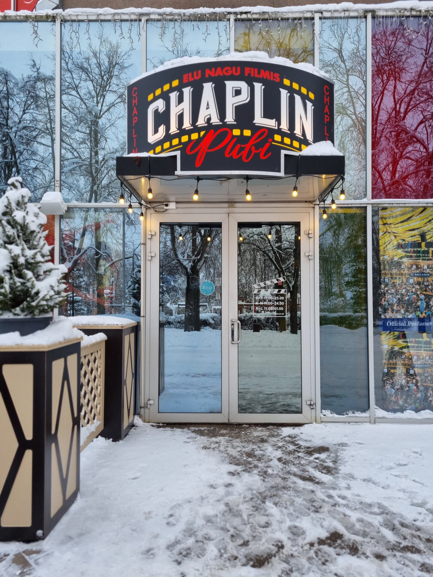 Pubi Chaplin