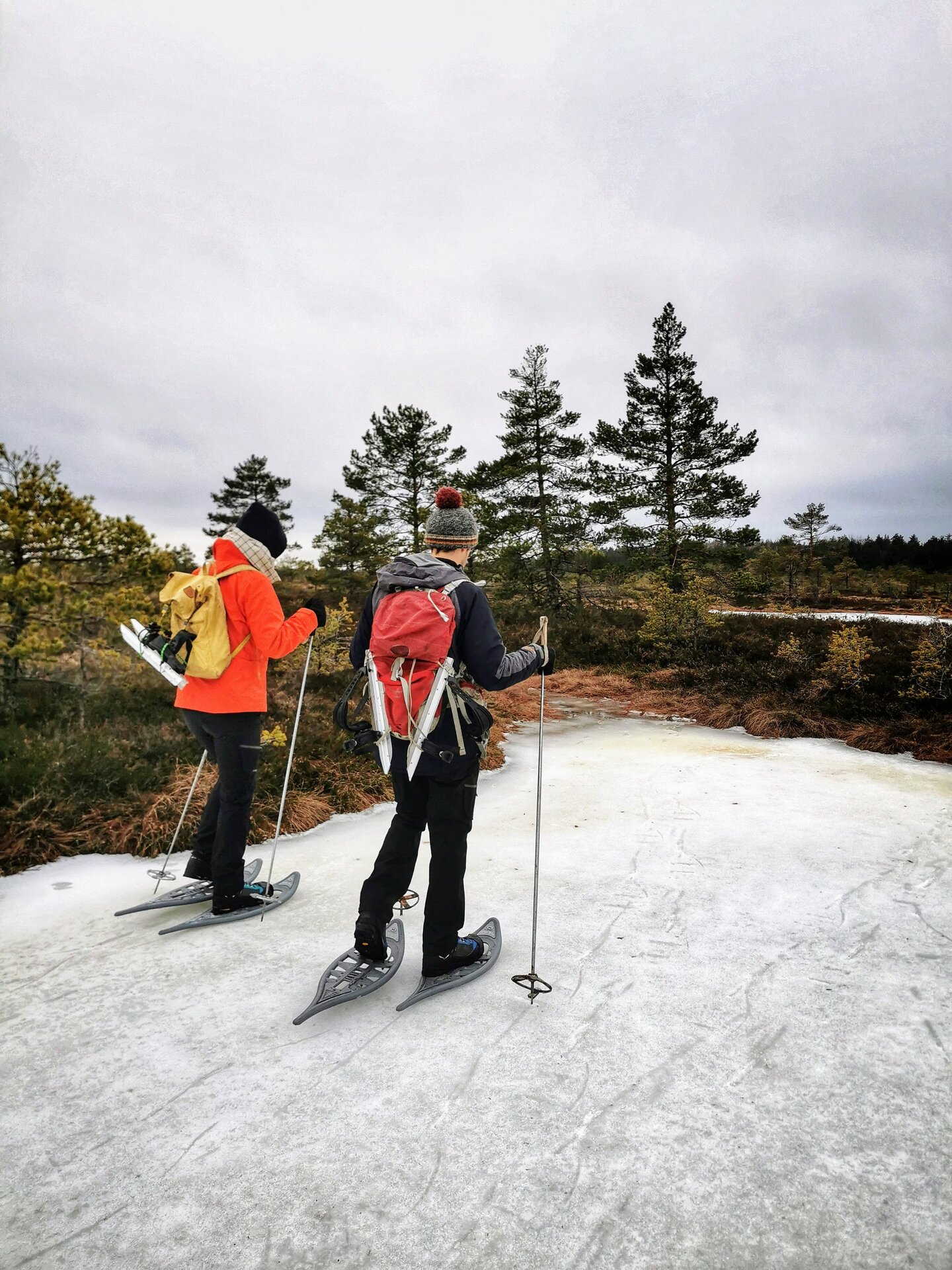 Seikle Vabaks tour skating in Soomaa National Park