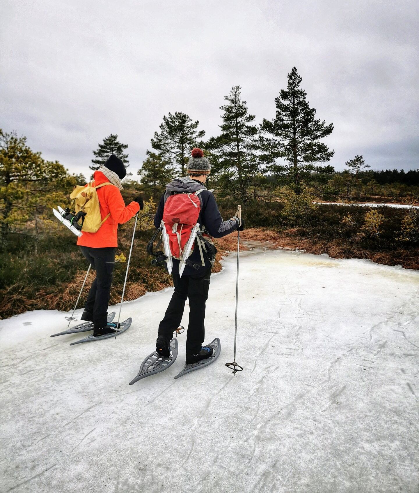 Seikle Vabaks matkauisutamine Soomaa Rahvuspargis