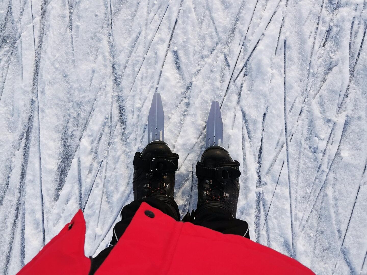 Seikle Vabaks tour skating in Soomaa National Park