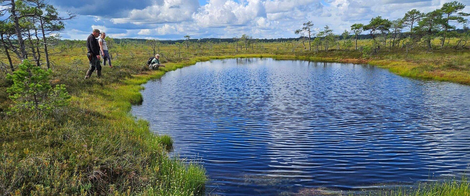 Discover Estonia's national Parks