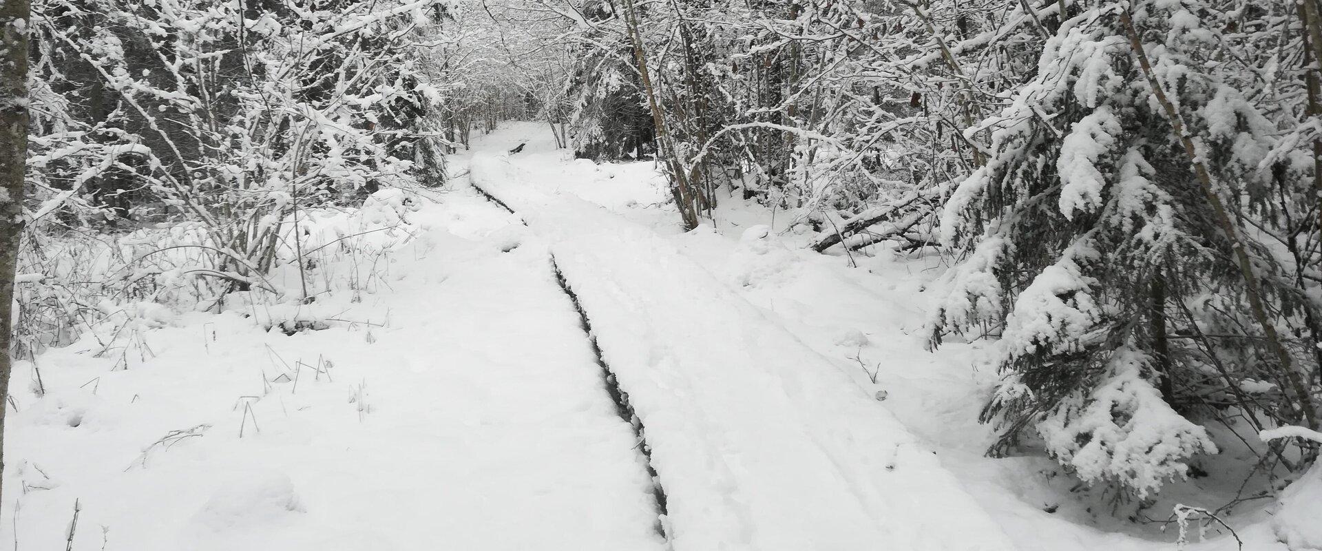 Apteekrimäe vahelduva reljeefiga metsarada kulgeb läbi metsa Nüpli sporditeele ja sealt uuesti Apteekrimetsa. Rada jõuab Marguse paisjärve äärde ja Ot