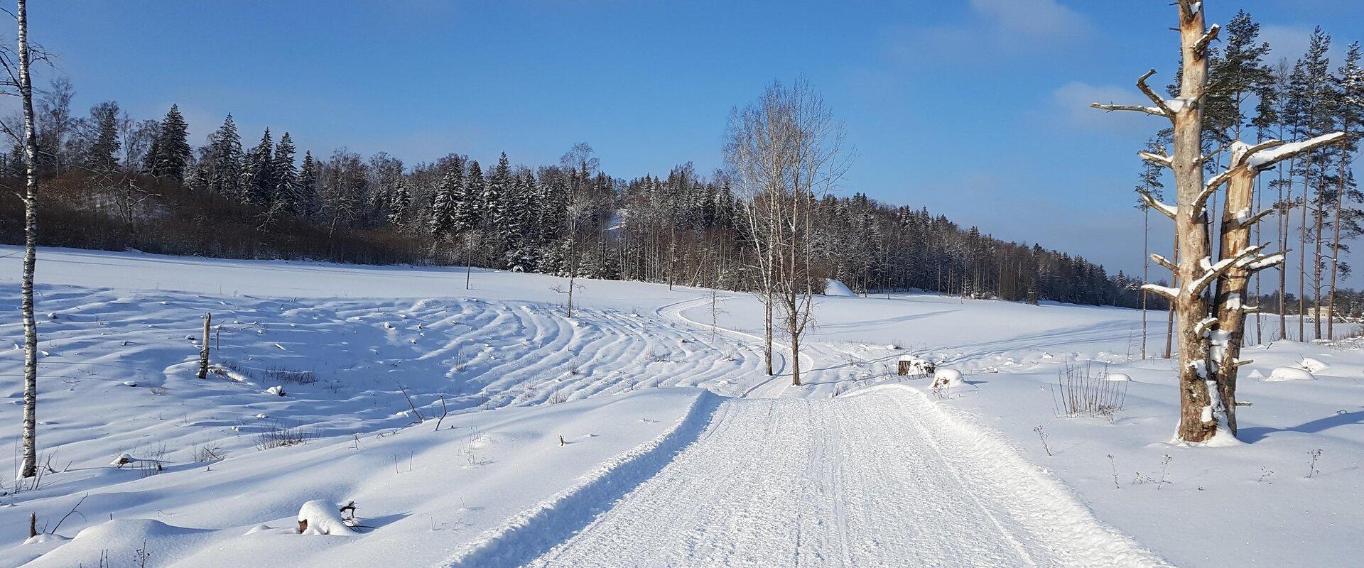 Rakke linnamäe tervise- ja suusarajad