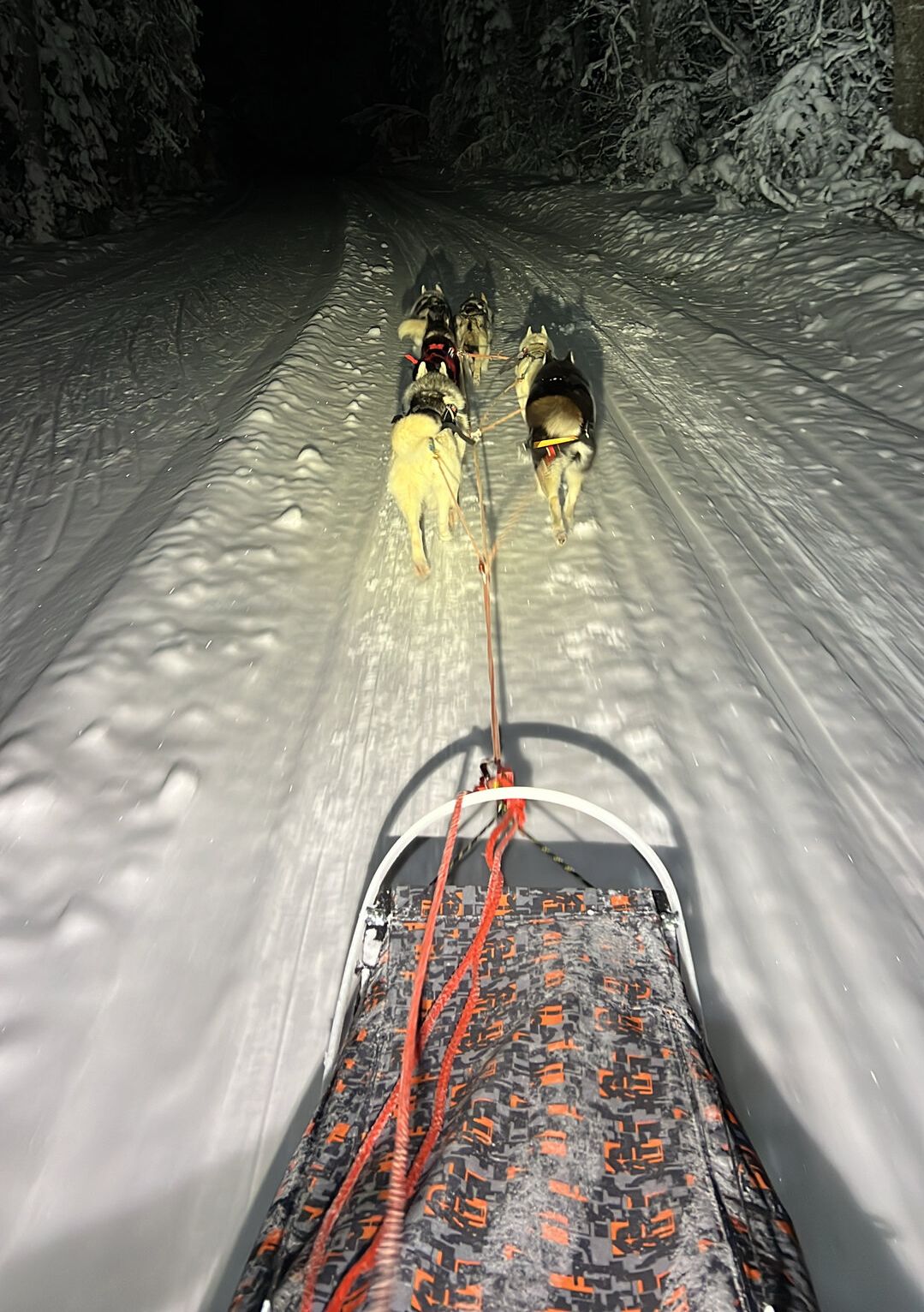 Kelgukoertega sõitma / Husky Harmony Tour