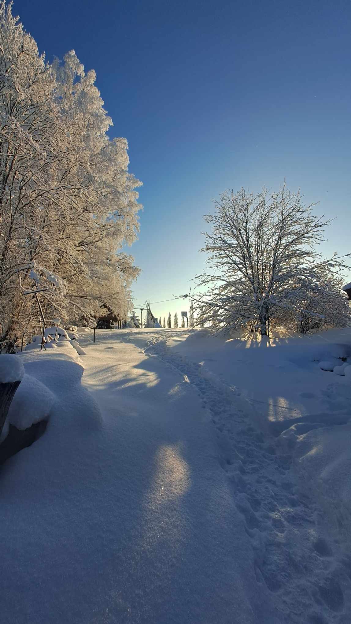 Sääniku talu puhkekeskus