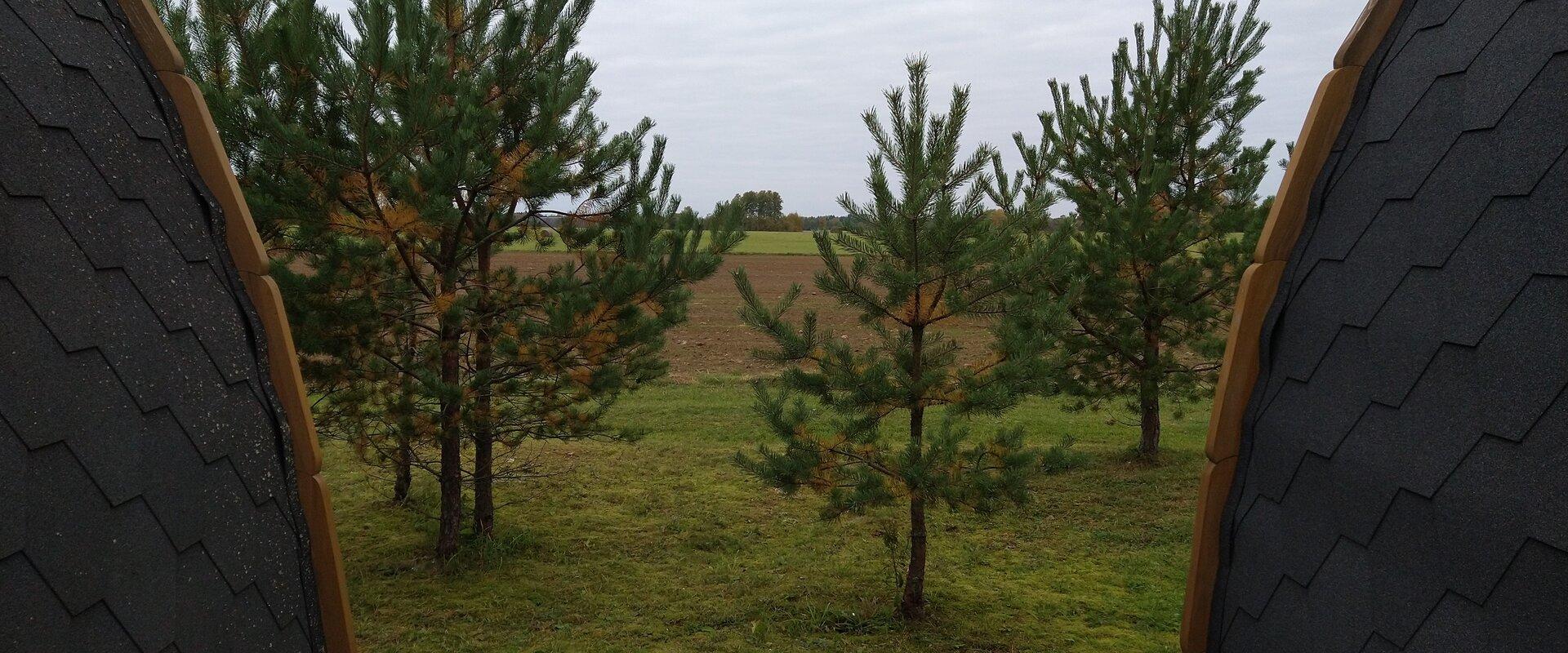 Majutus ja karavanpark by restoran Lahemaa kohvikann