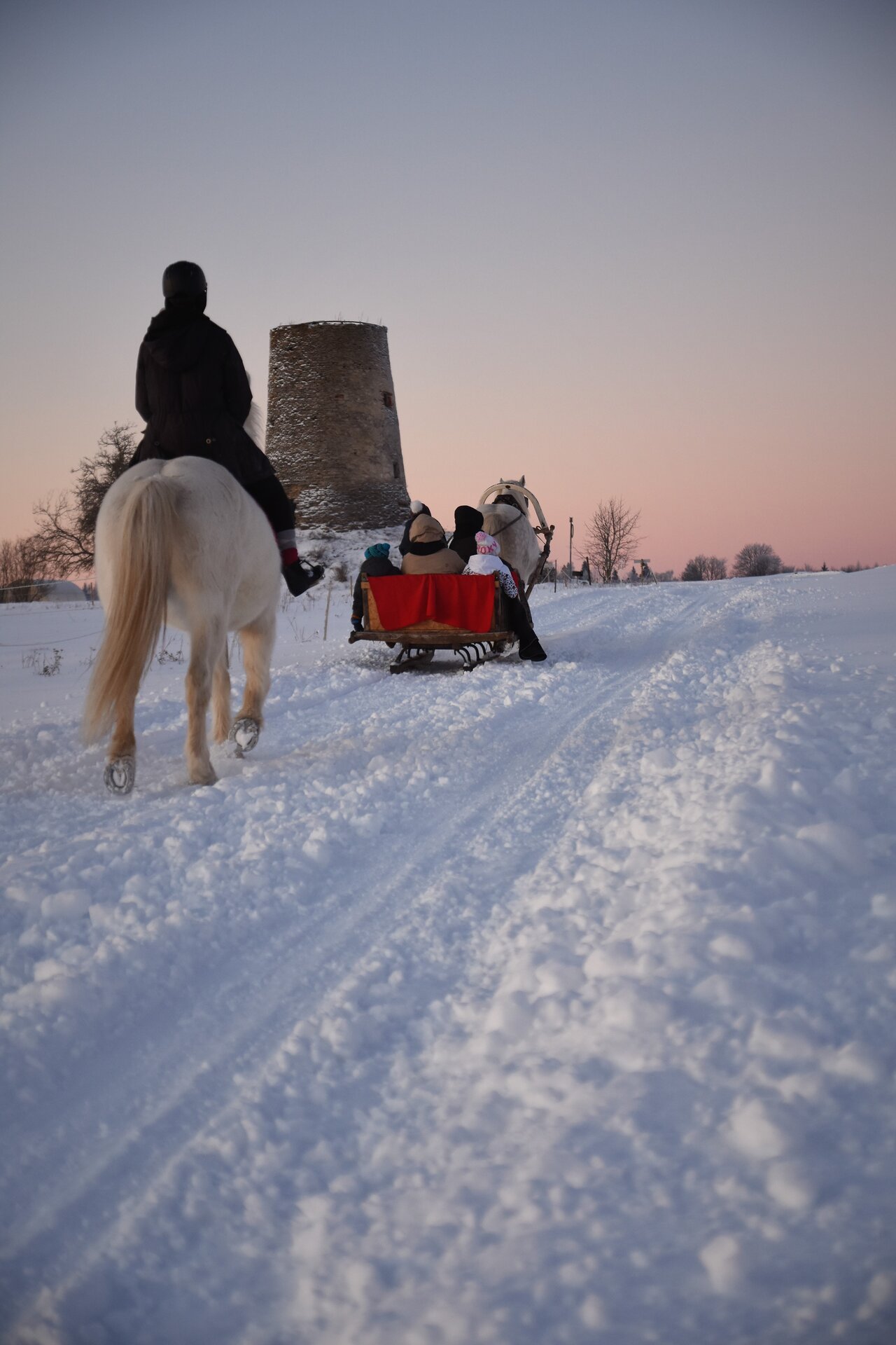 TALVEELAMUSED VOORE TALLIDES - REE- JA SAANISÕIDUD VALGETE H