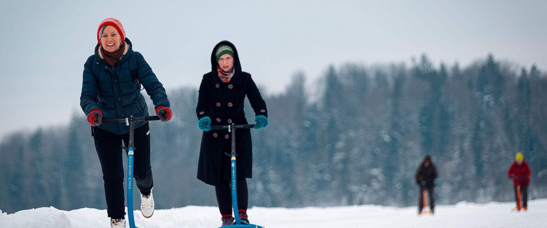 Sõbrad tõukekelgutavad Pühajärve jääl