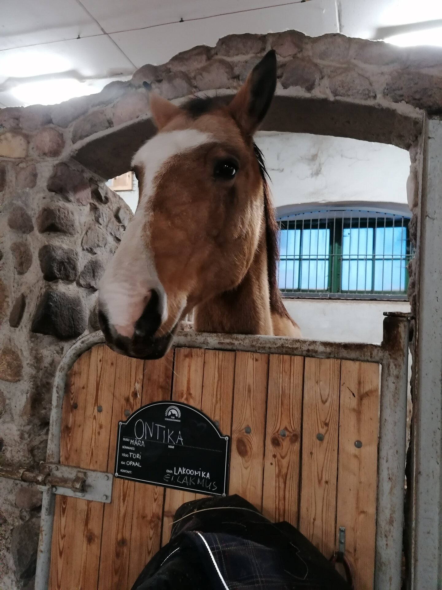 Guided tour of the Tori Horse Breeding Farm and Museum