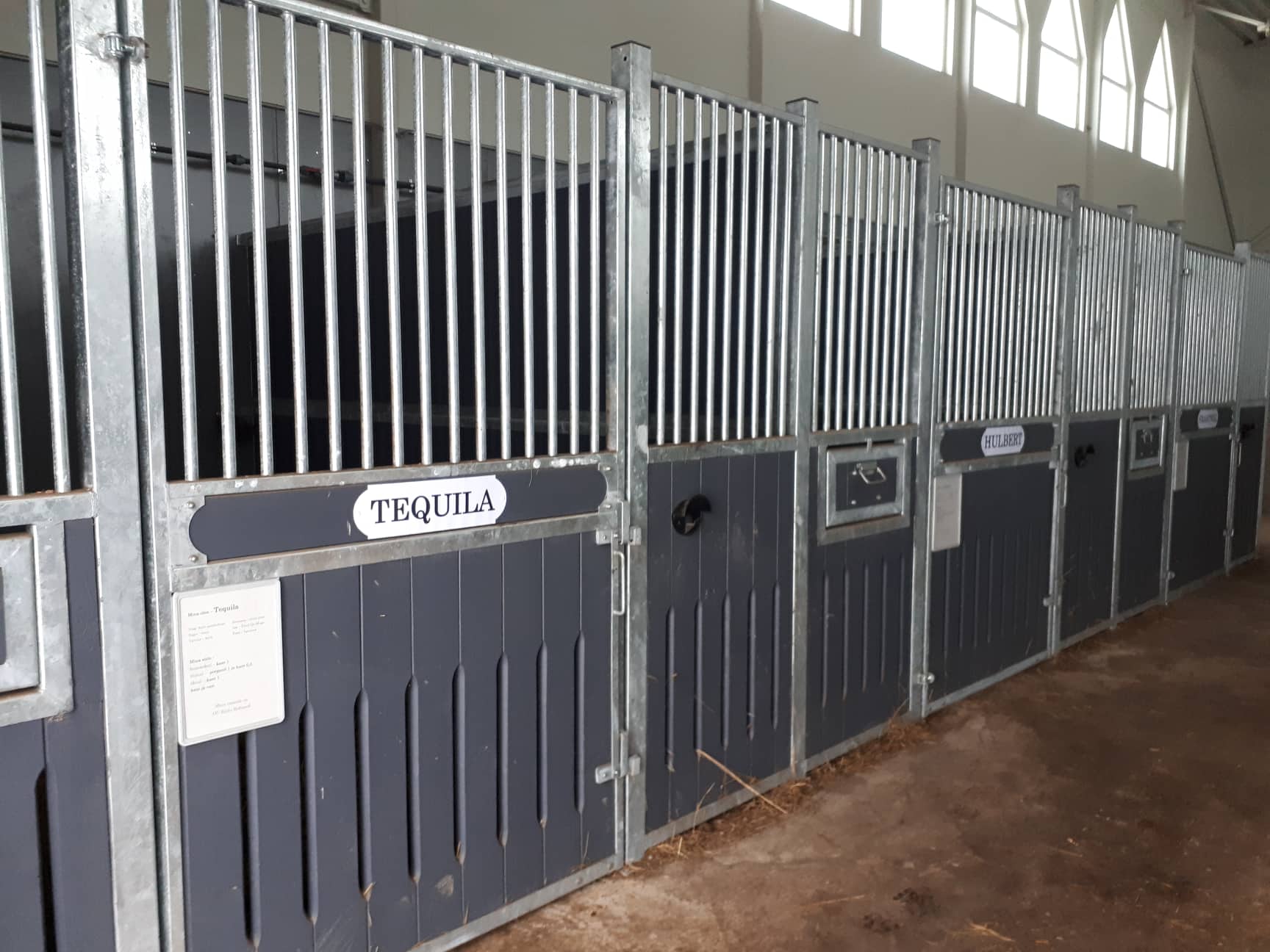 Kildu ratsakeskuse suur tall