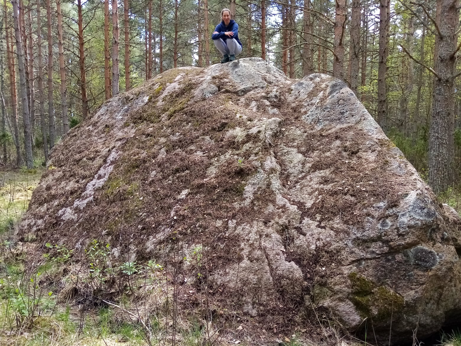 Skärestein Hosbys.