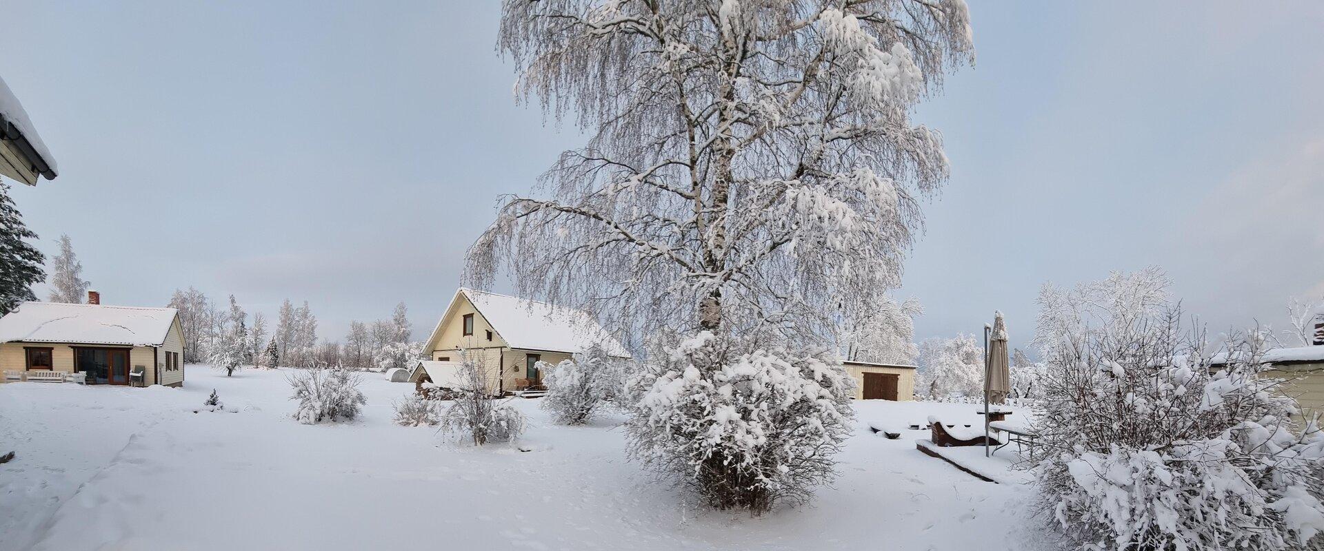 Priimäe talu