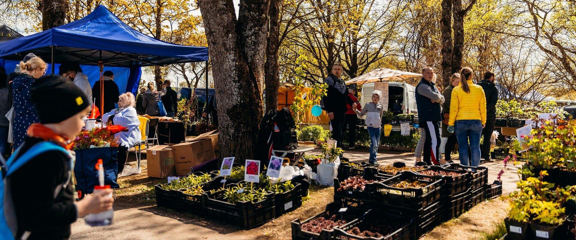 As it has for decades, the start of the peak season of spring gardening in Estonia is marked by the Türi Flower Fair, held on the fields on Kalevi Str