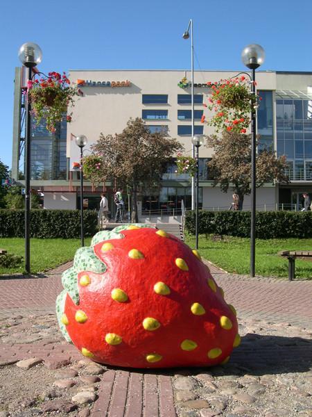 Maasikad Viljandis