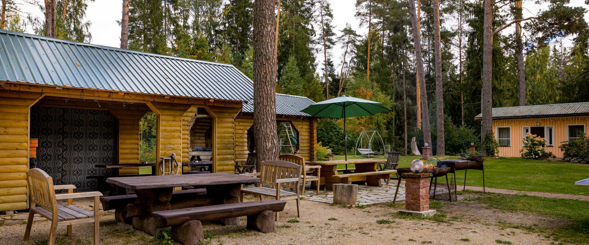 Valgemetsa Mõtteruum